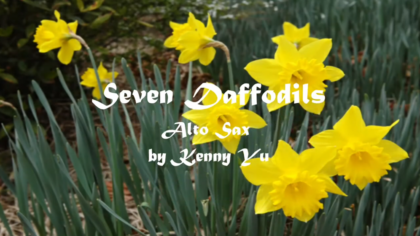 일곱송이 수선화(Seven Daffodils)